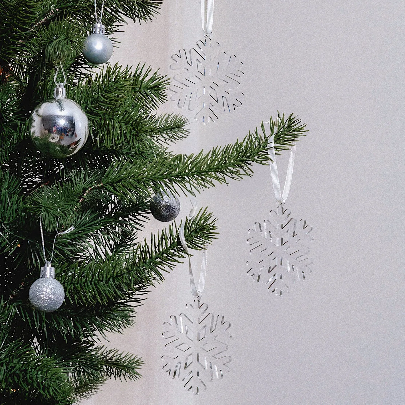 Acrylic Ornament